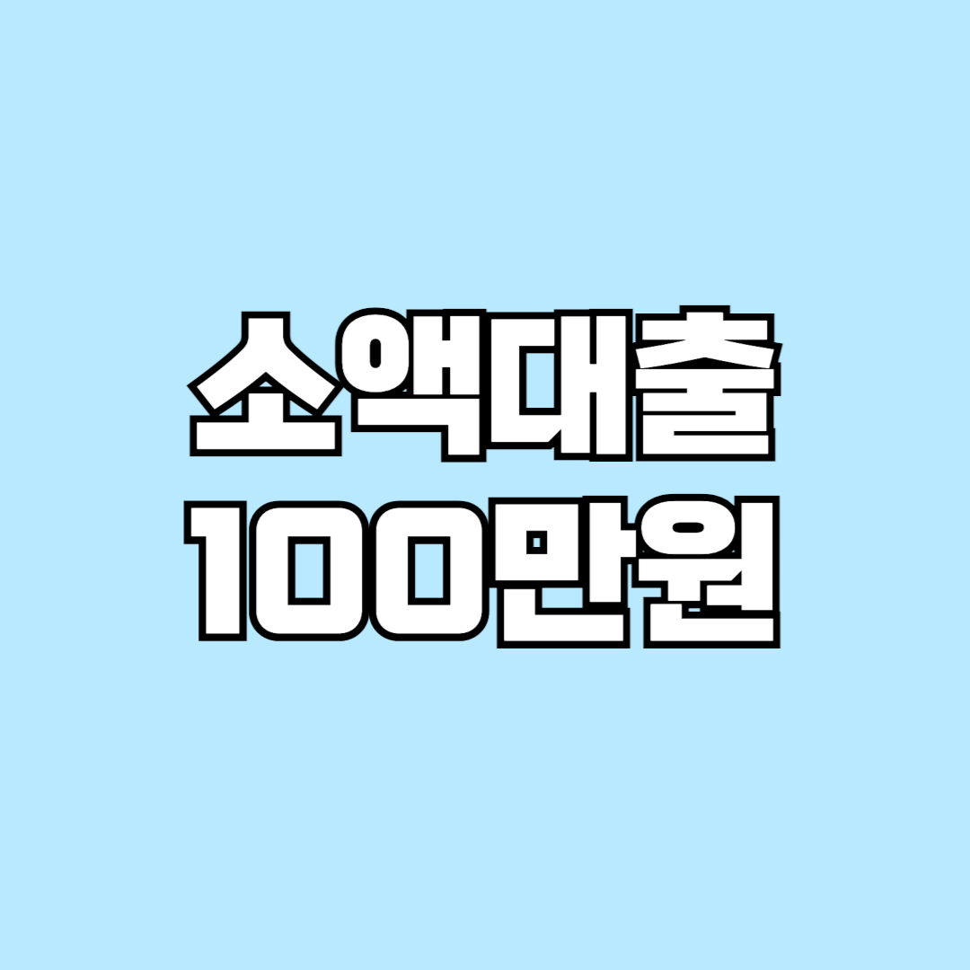 소액대출 100만원