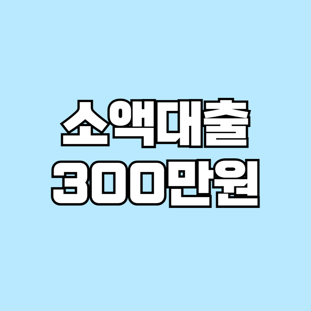 소액대출 300만원