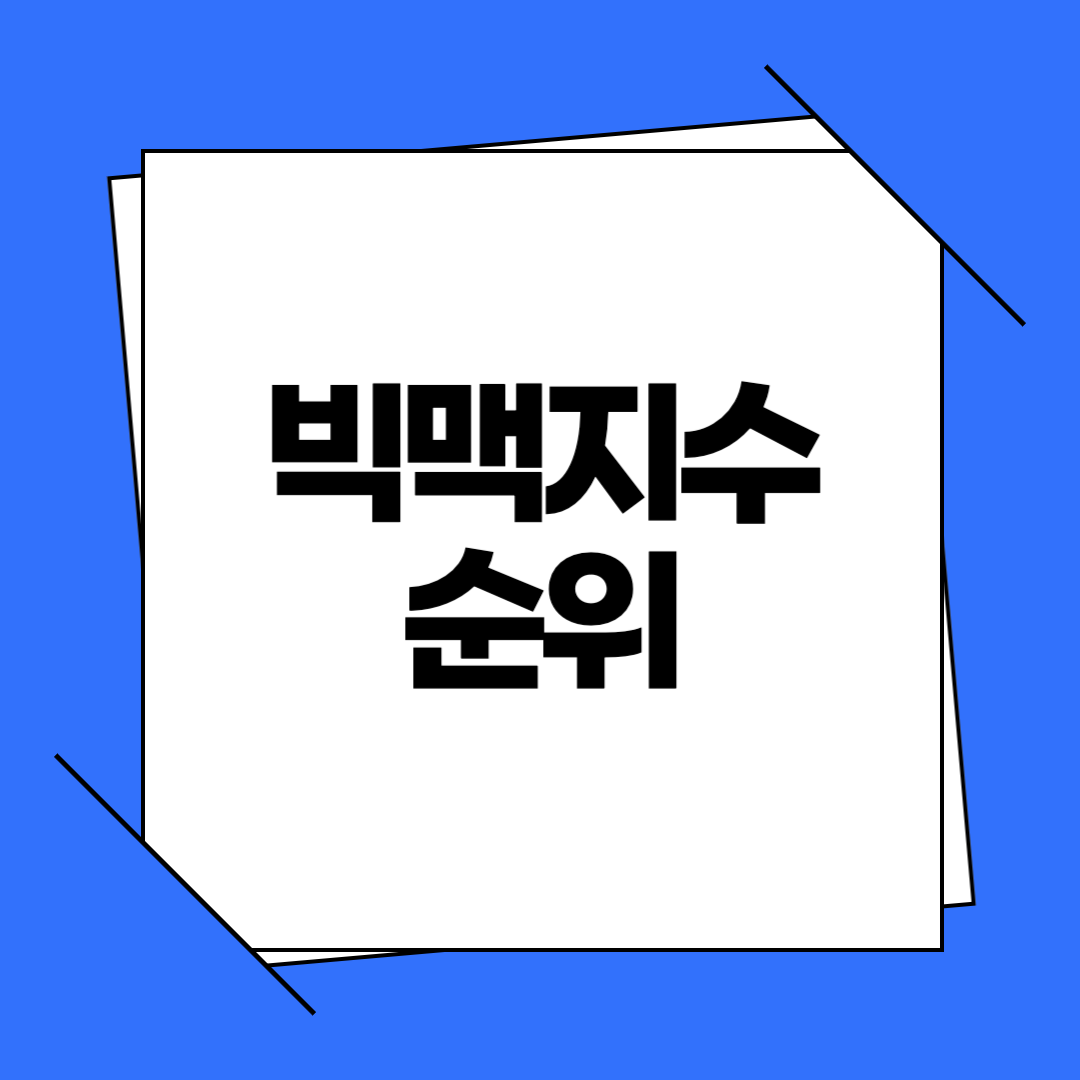 빅맥지수 순위