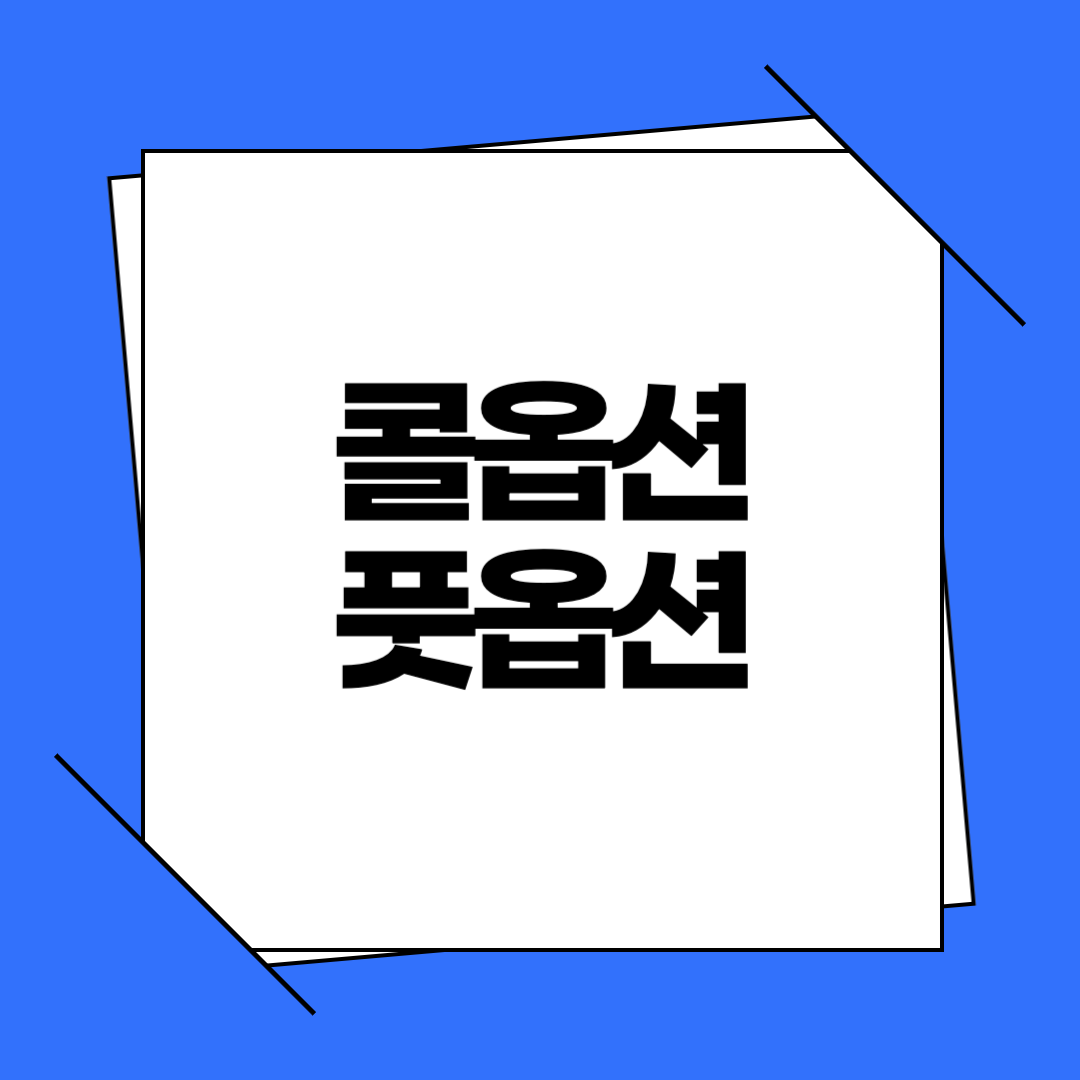 콜옵션 풋옵션 뜻